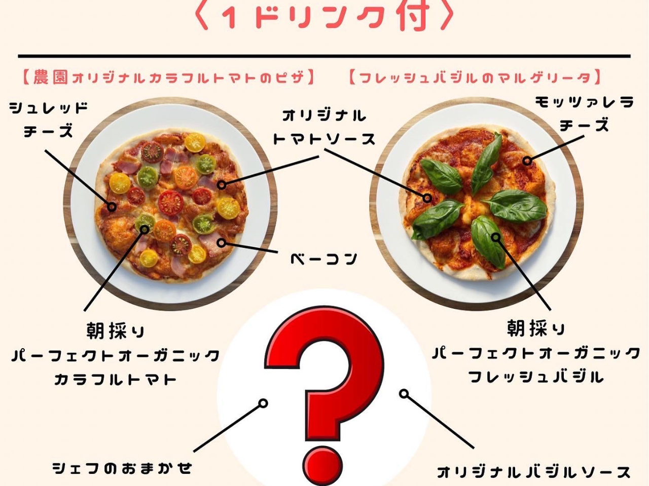 【引き取りのみ】【滋賀】ピザ窯　分解可能 引き取りのみ】【滋賀】ピザ窯 分解可能 - メルカリ