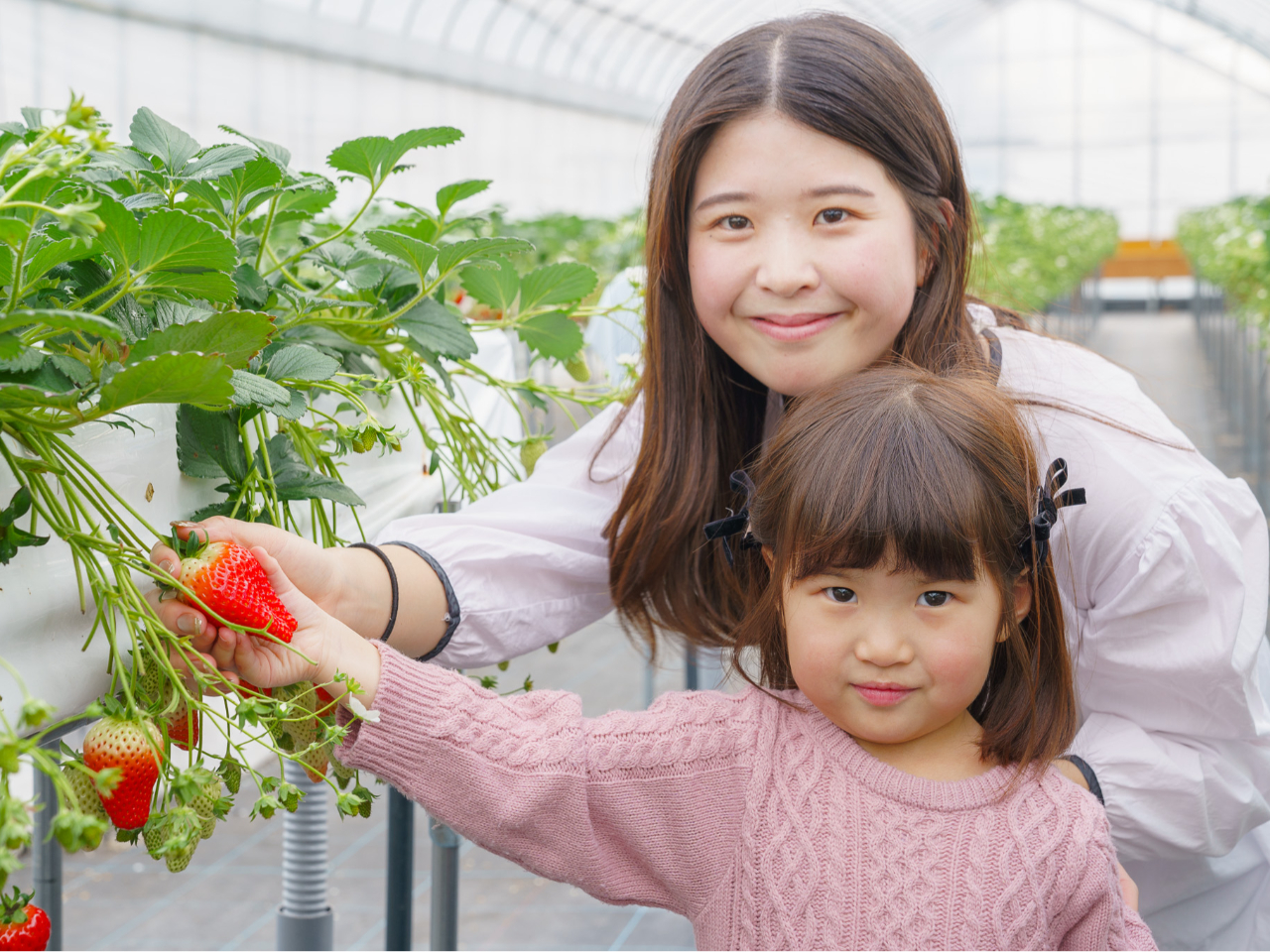 ���������̗l�q