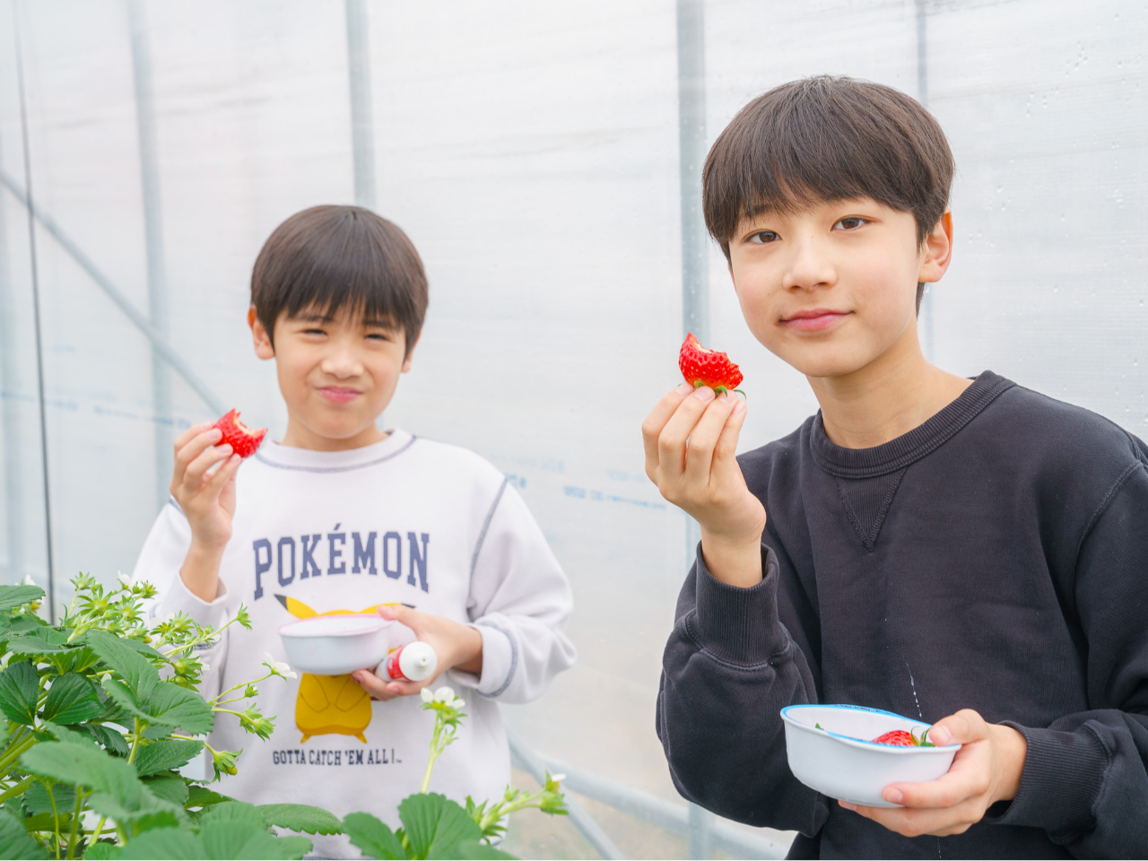 ���������̗l�q