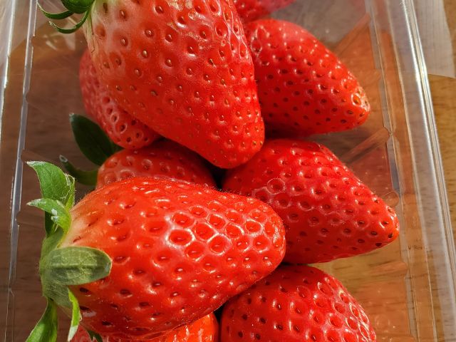 苺姫健康ランド 40分間いちご狩り♪】《2種食べ比べ☆章姫&紅ほっぺ》「郡山IC」から車で約8分 各時間3組までなのでゆったりお楽しみいただけます! 減農薬栽培で安心安全おいしいイチゴを召し上がれ♪/おむすびファーム - じゃらん遊び体験