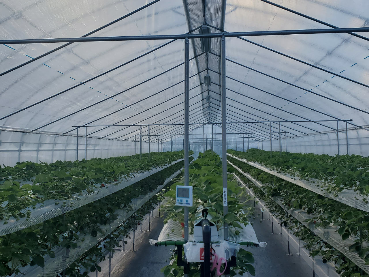 ݍ͔|Ȃ̂ŁAႪ܂yɂ肪y߂܂I