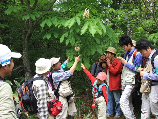 KCh̐ō܂ŋCtȂR̖ʔɊI