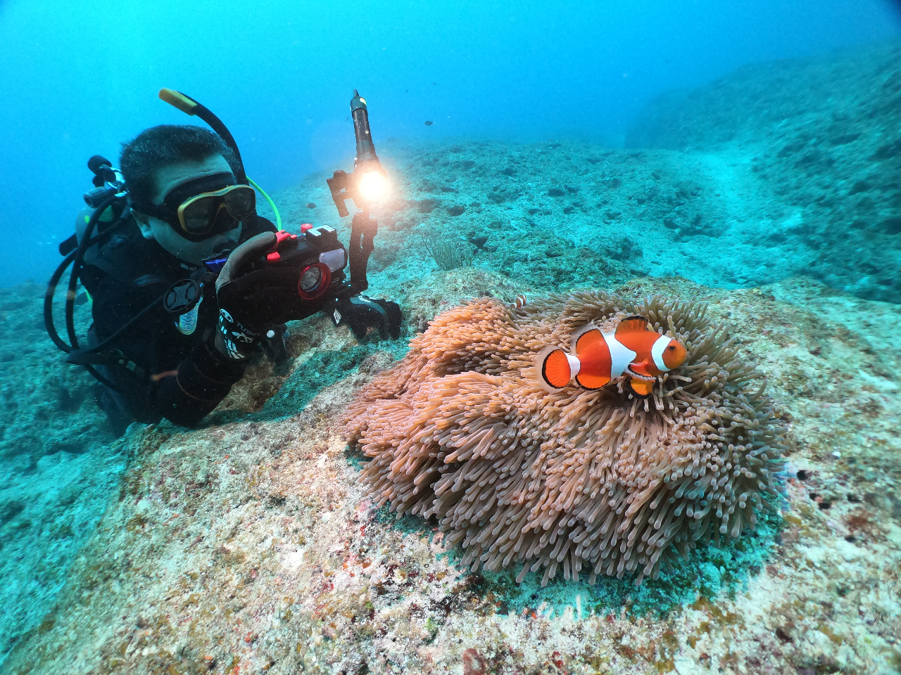 1_Cuڂ͐˖ȂƂy[XŃtBbVEIb`OB