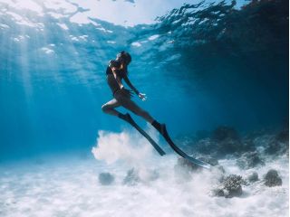 水中で自由に泳げるようになりたい イルカやクジラも一緒に泳いで見たい方は、ぜひスキン講習にご参加ください