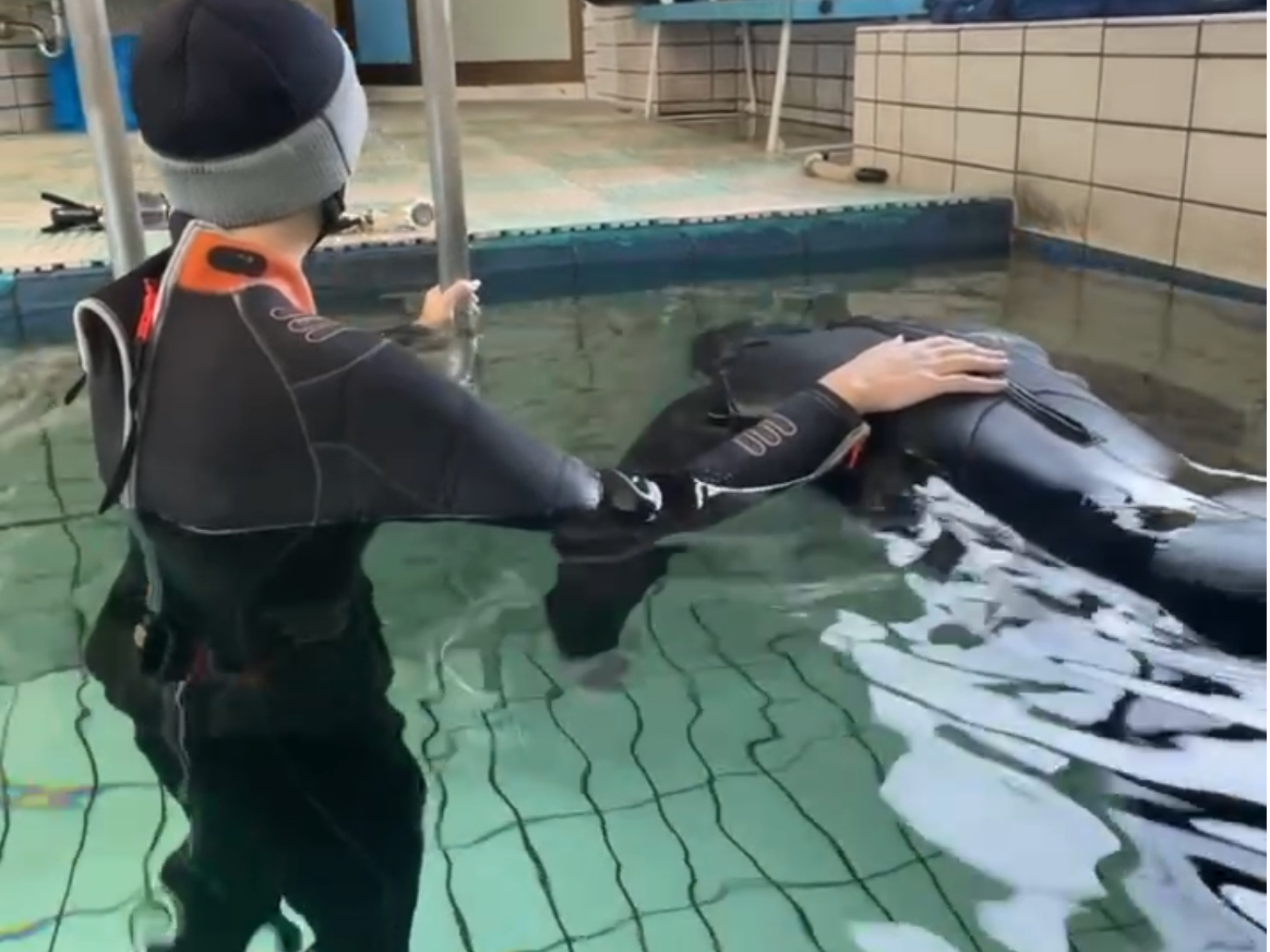 ~߂̗K@X^eBbNEAvlA{@~߂̂KĂ܂