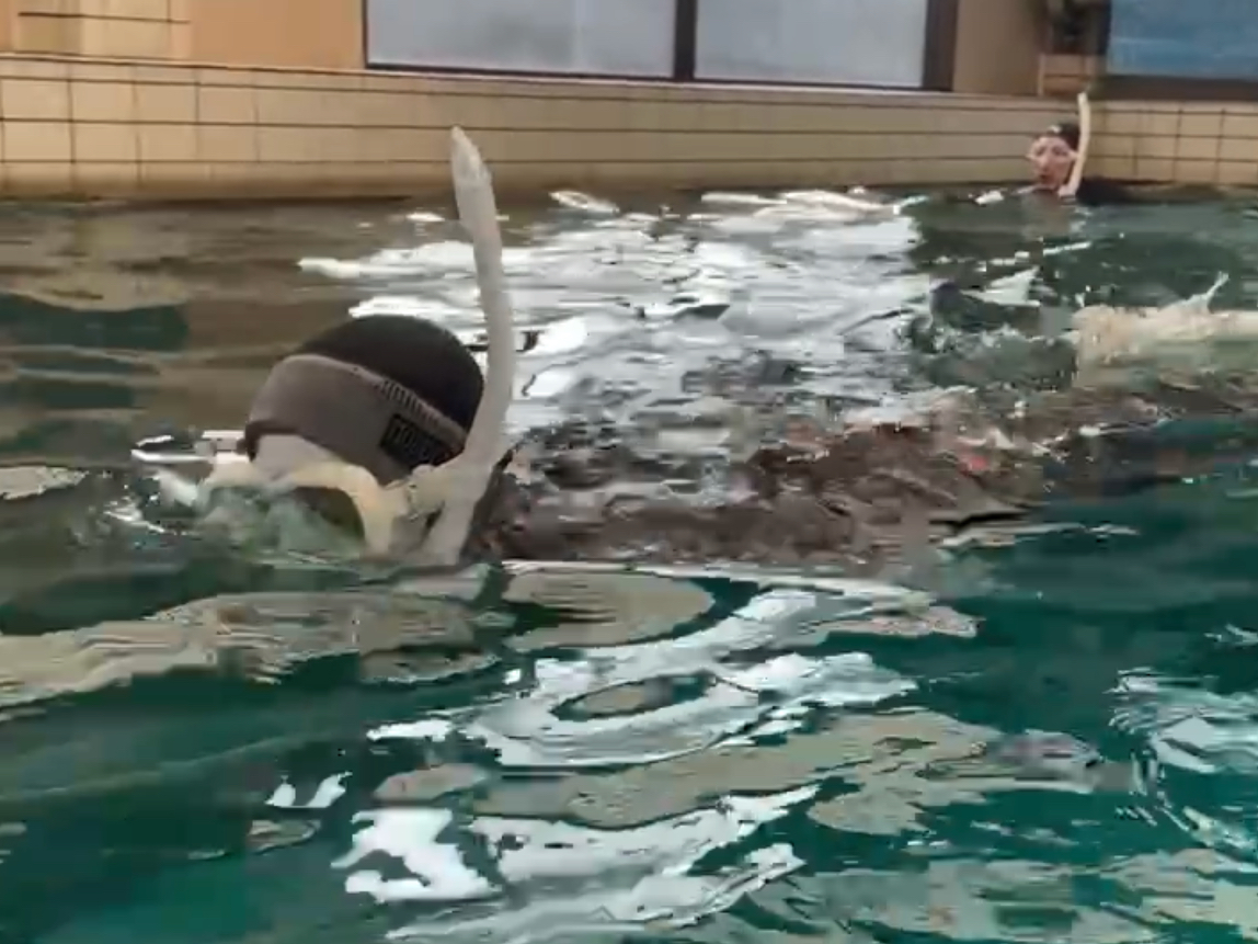 ʂɂŐXm[P̎gƉjpwїKĂ܂@ɂ萅݂炢悤ɂȂ܂