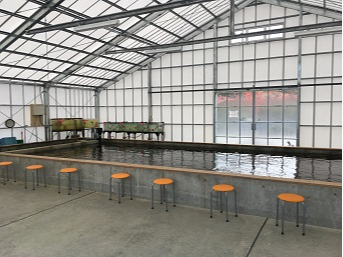 【釣り体験】≪平日プラン≫屋内の釣り堀で錦鯉や金魚の釣りが楽しめる!破格の値段な...