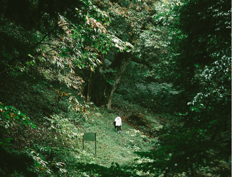 0site ���ӂ̐X