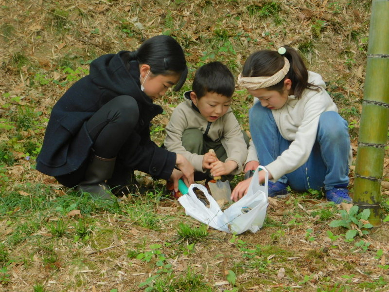 �傫�Ȓ|�̎q�I�@��邩�ȁH