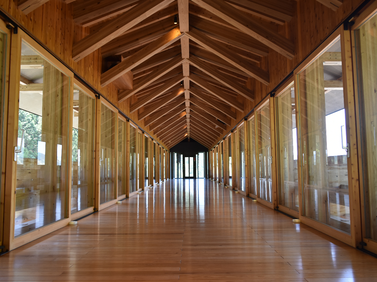 雲の上のギャラリー内