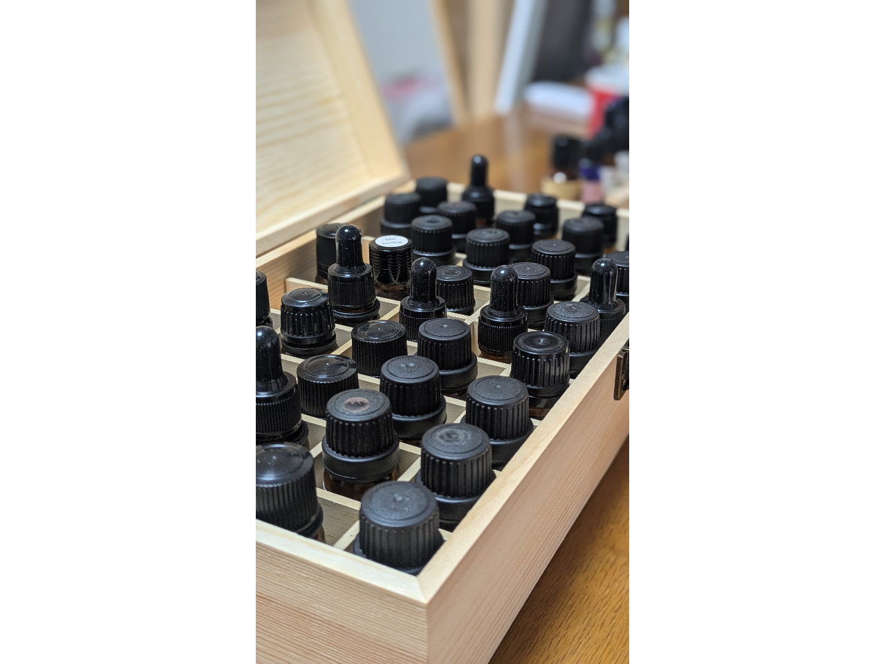 ��40��ނ̐������獁����m���߂Ȃ��炨�D���ȍ����I��ł��������܂�