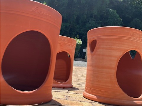 �y�E�l�������I�f�Ă��̉��y100���̍���ƚ�z���y�̓~�l�������L�x�ȓy�̖��O�B��������̍y�f��_�f���܂�ł���ׁu�����Ă���y�v�ƌ����܂��B