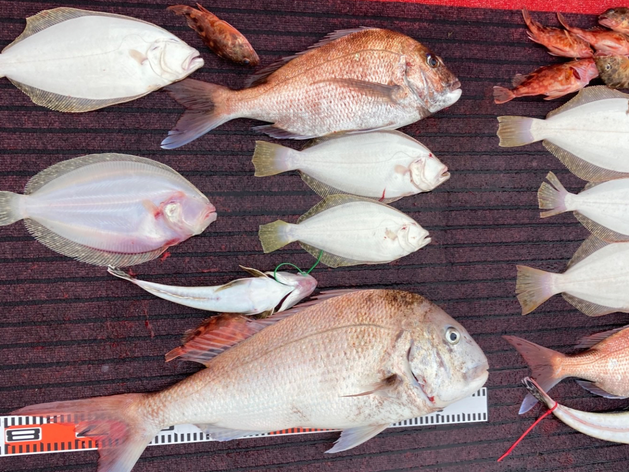 qނē܂IēvĂ܂̂łCyɂ₢킹B҂Ă܂I