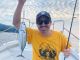 回遊魚のカツオに出会えることもあります。夏期間中にはトビウオが水面を飛び回ったり、ハンマーヘッドシャークに出会える確率がアップします。