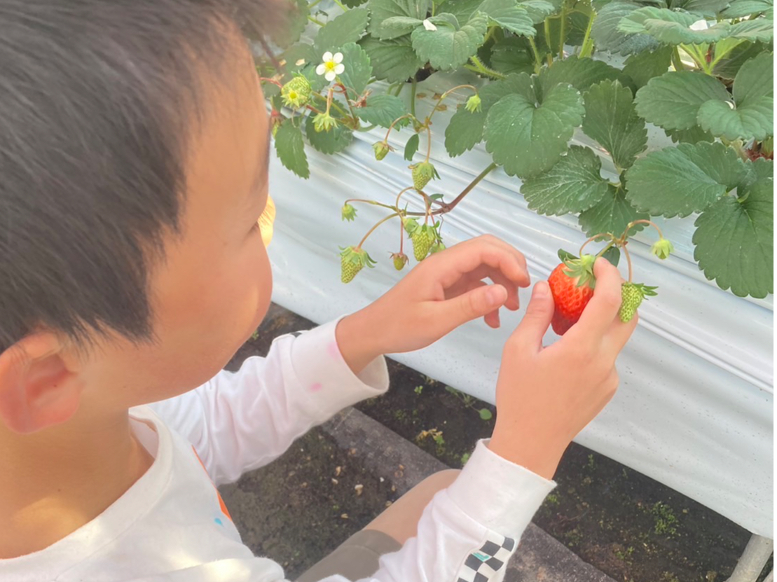 ㉺2i̍ݍ͔|Ȃ̂ŁA̒i͏Ȃ܂ł݂Ƃ肪ł܂