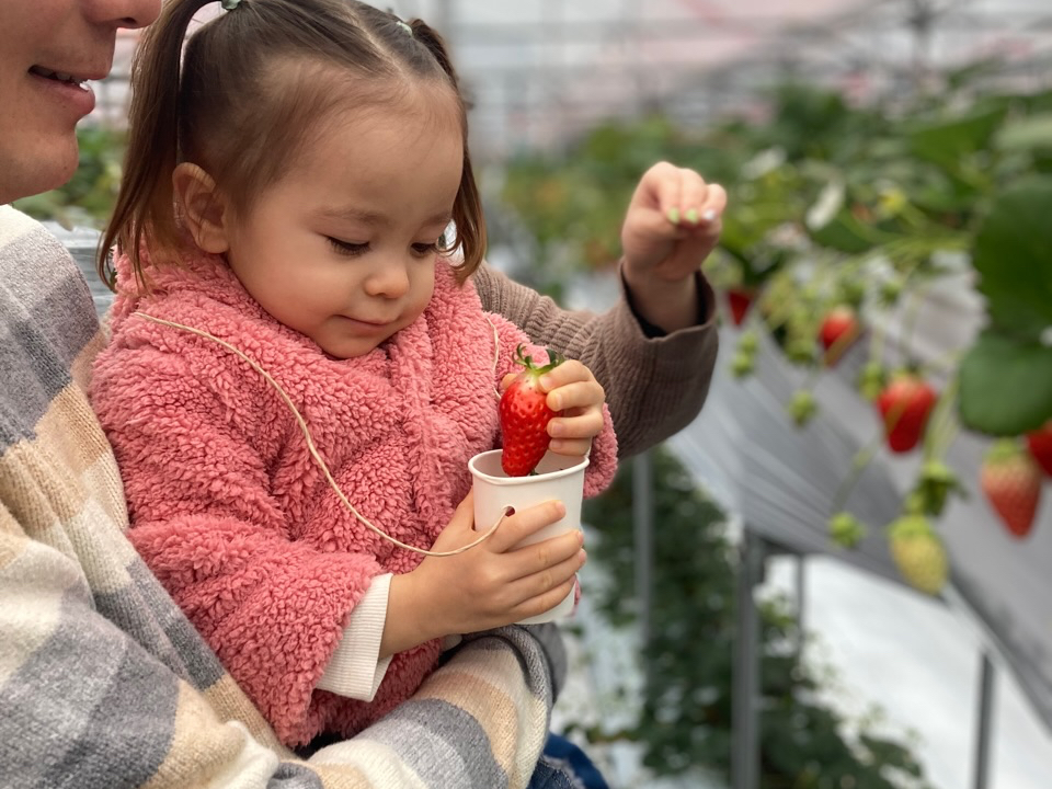 いちごの酸味とミルクソースのやさしさが相性バツグン!サゴタニ特製ミルクソースおかわり無料 ♪