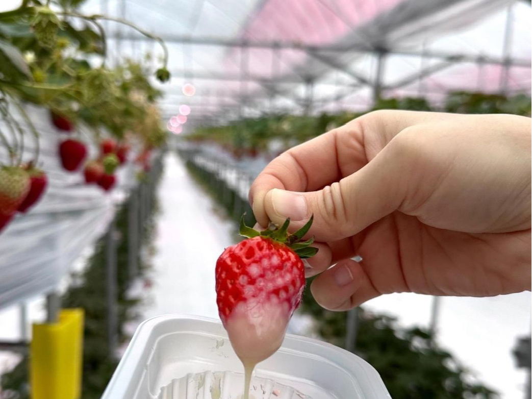 TS^j~N\[XD]Ił킦ȂƂ̑gݍ킹I