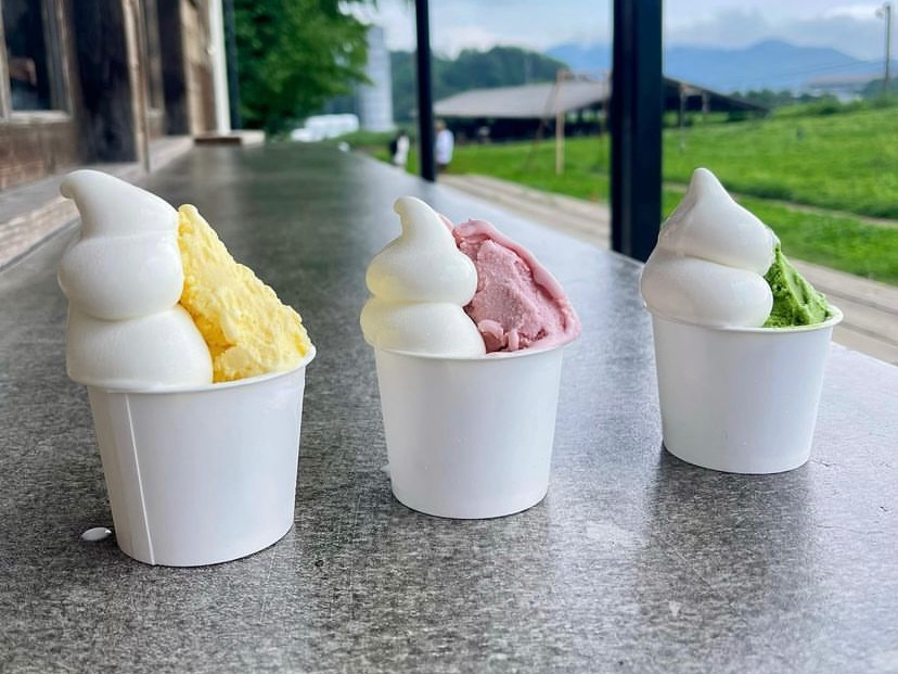 ufޖ{̖́A͂vƂz犮WF[g񂨏オ肭I