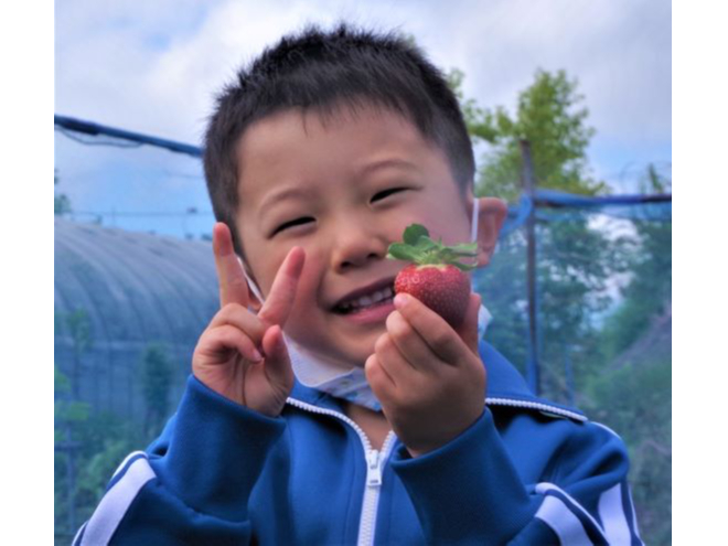 【青森×イチゴ狩り】無農薬の土耕栽培で育てた新鮮イチゴをどうぞ♪ \ファミリー、...