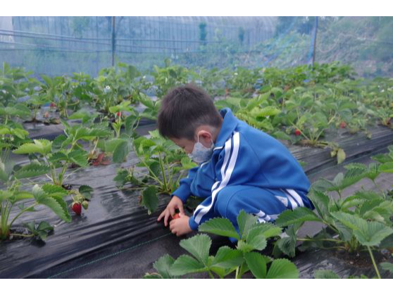 �y�k�͔|�łȂ̂ŁA���������q�l�ł��ȒP�Ɏ��n�ł��܂�