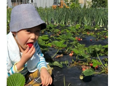 ���_��̃C�`�S�Ȃ̂ň��S���Ă������オ�肭������