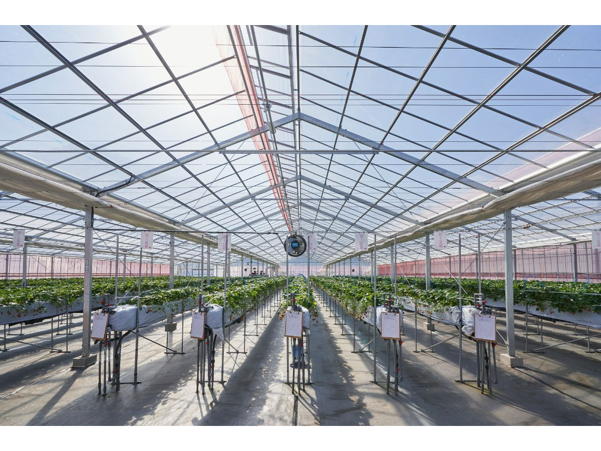 LnEXōݍ͔|ׁ̈A܂yXy߂܂