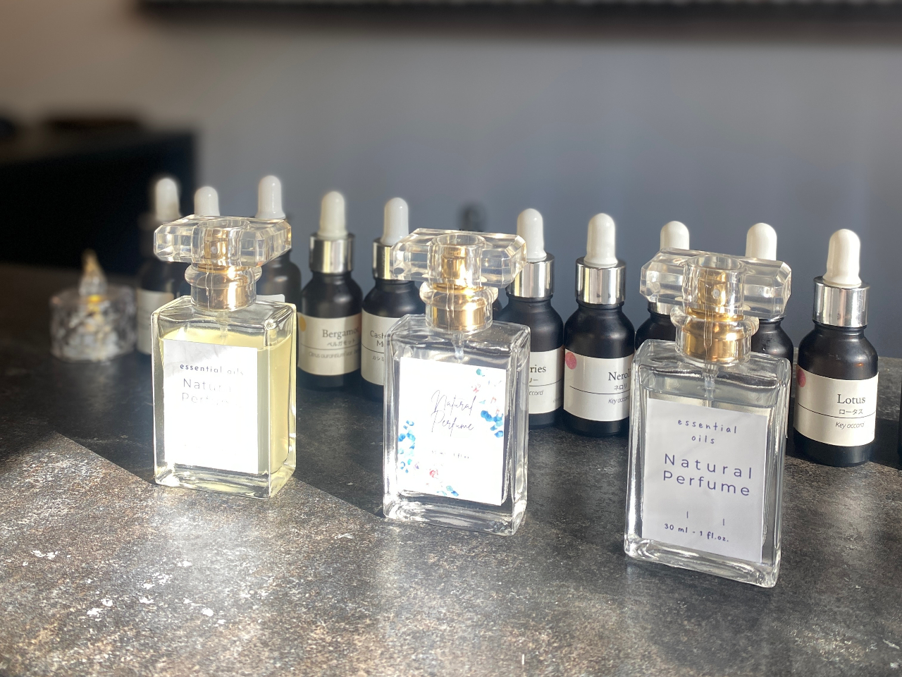 �M�d�ȑ̌��������Ɗ��z����R���������Ă���܂��B