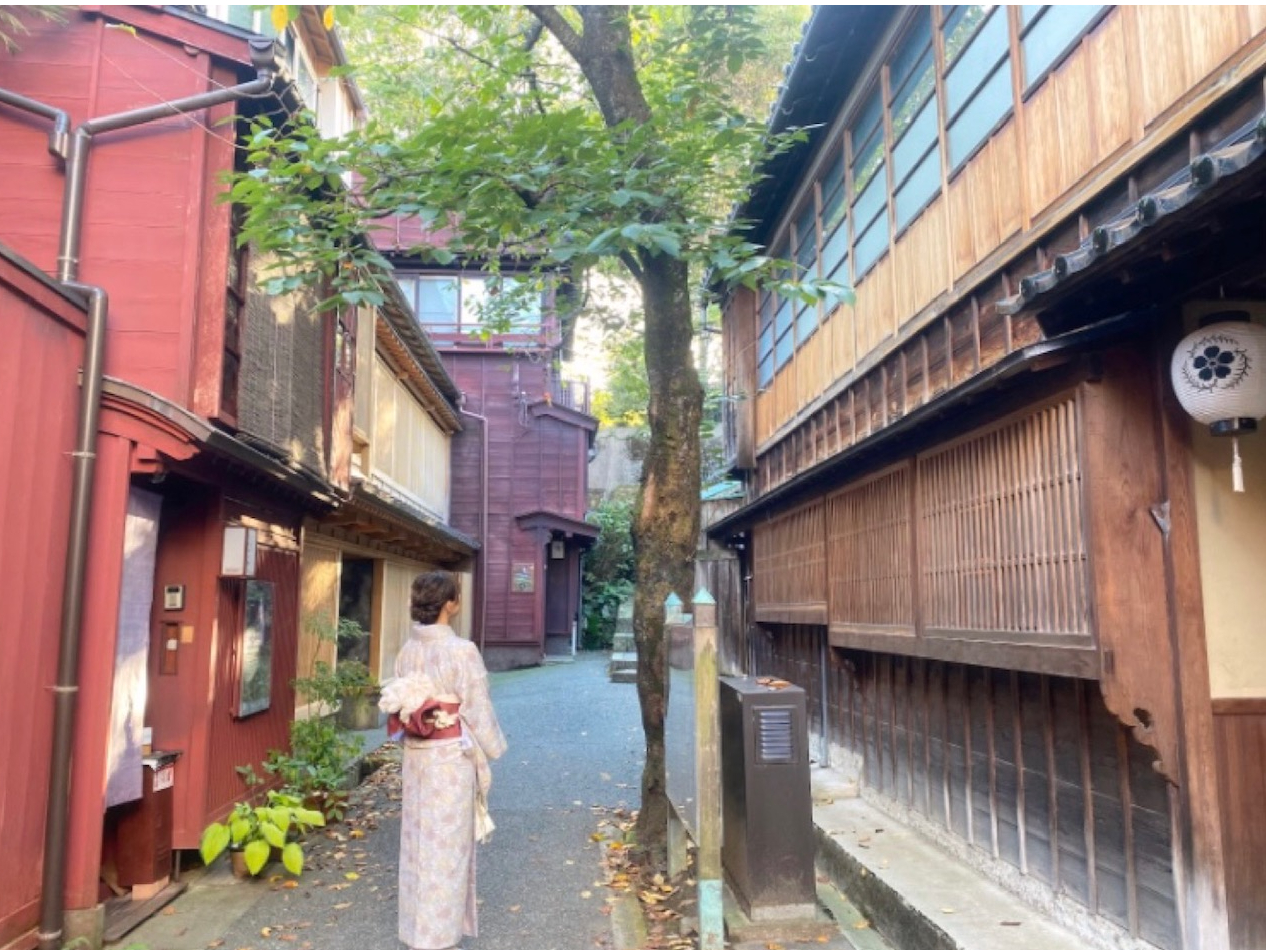 ނȂǂ̕s܂烌^邱Ƃ\ł