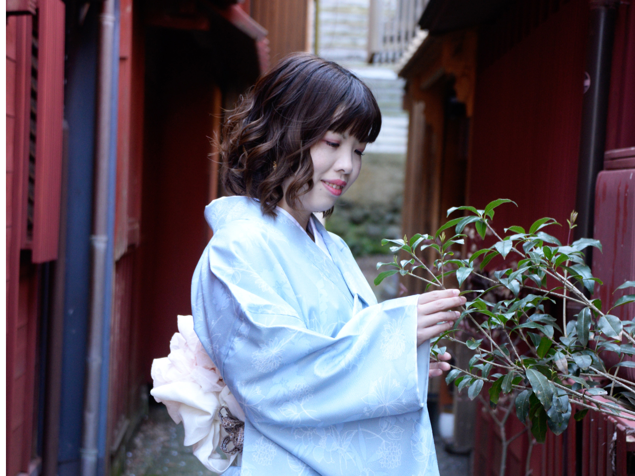 vX܂ł͂Xk5Ȃ̂łdオシɎBeł܂