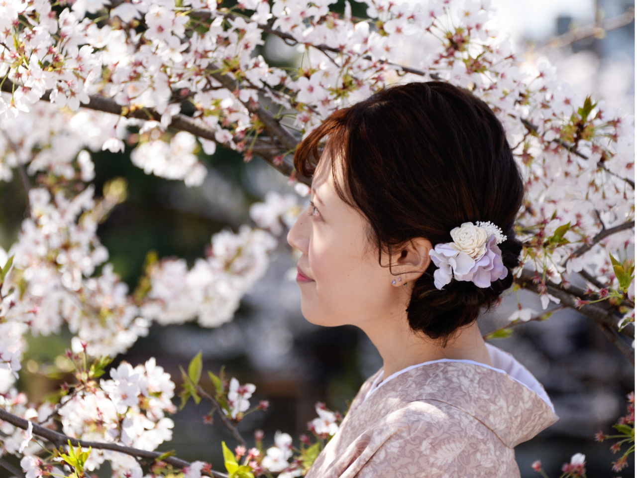 J}͏̕ŏ_炩l̕Ȃ̂ňSĎBeł܂