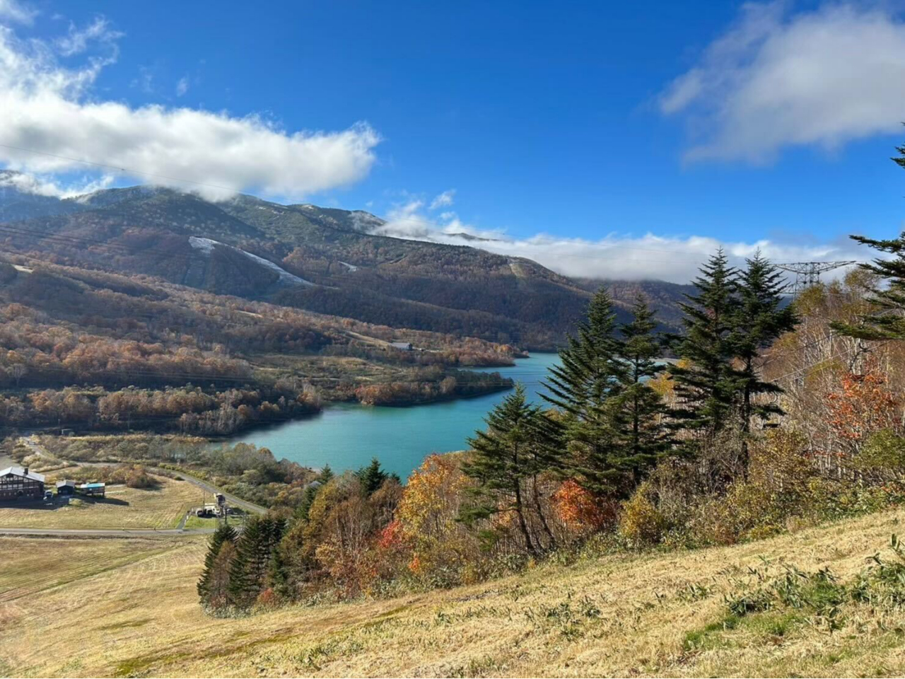 **chSh[vEF[2024N105(y)`114()gtcƊJnI** BBQꂩk7