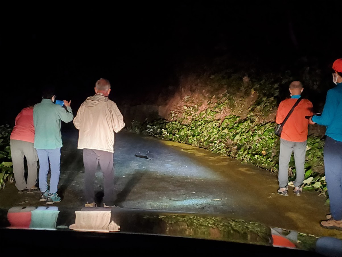 FlЂ̓̊FƁIO[vQ\łBiőUl܂Łj