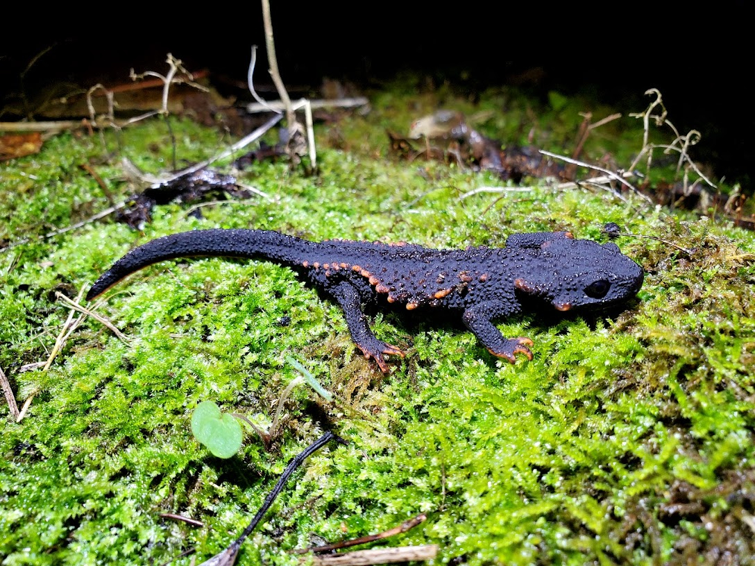 ~͂̂тC{Cɑ邱Ƃ܂B