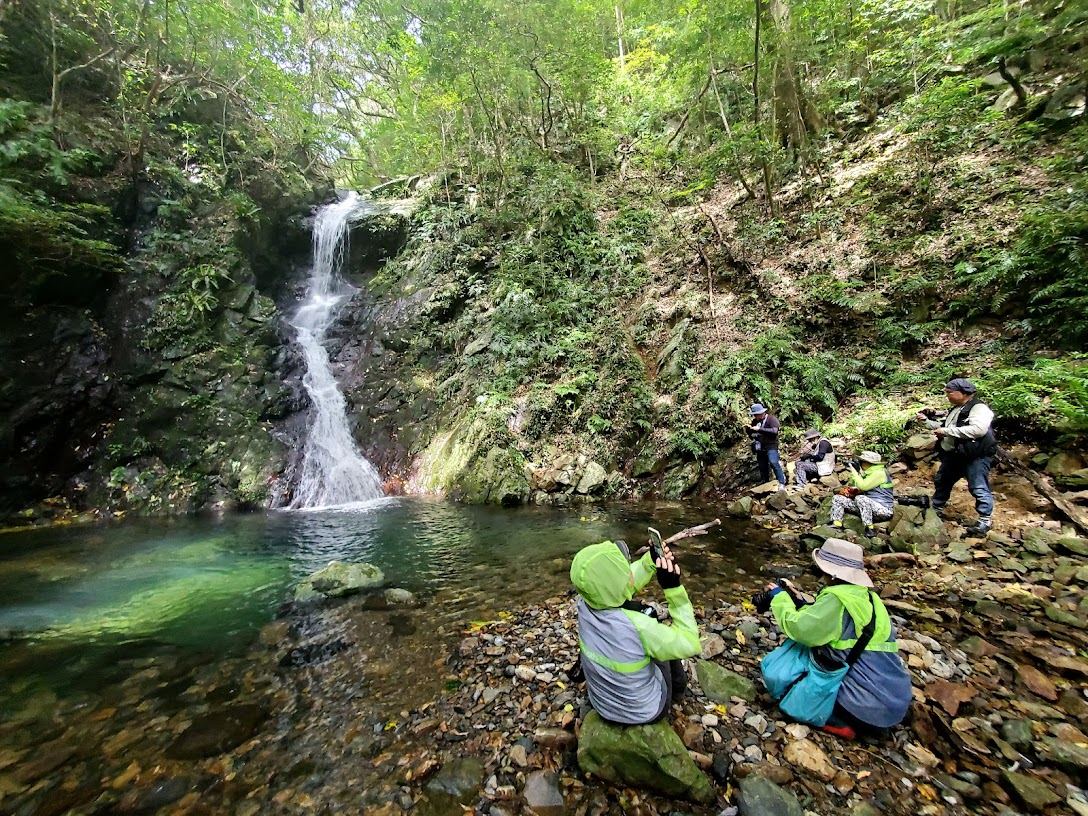 ERYGAɂ鏼oRł͗lXȕ\̑y߂܂B