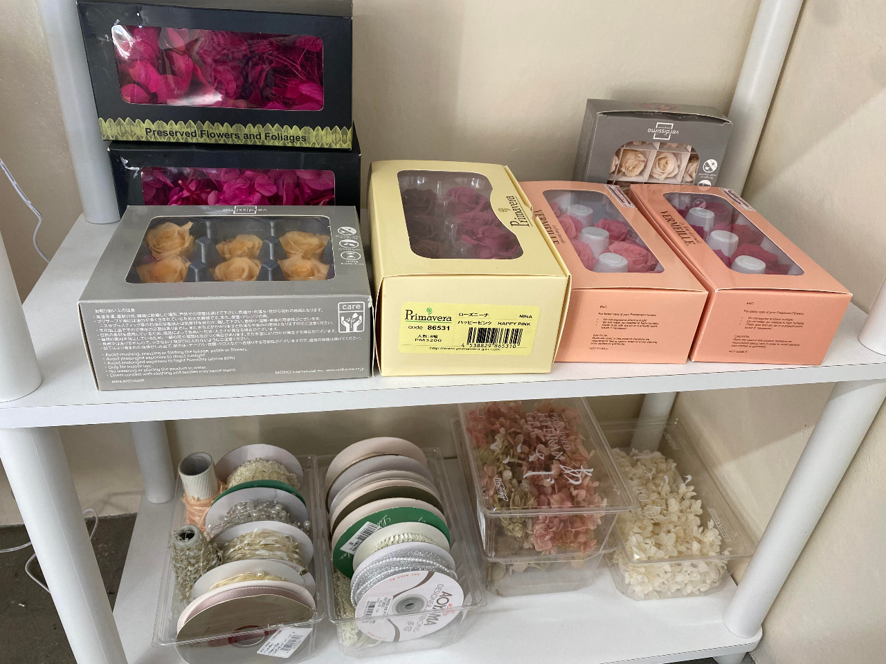 gpvU[uht[⃊{D݂łIт܂B