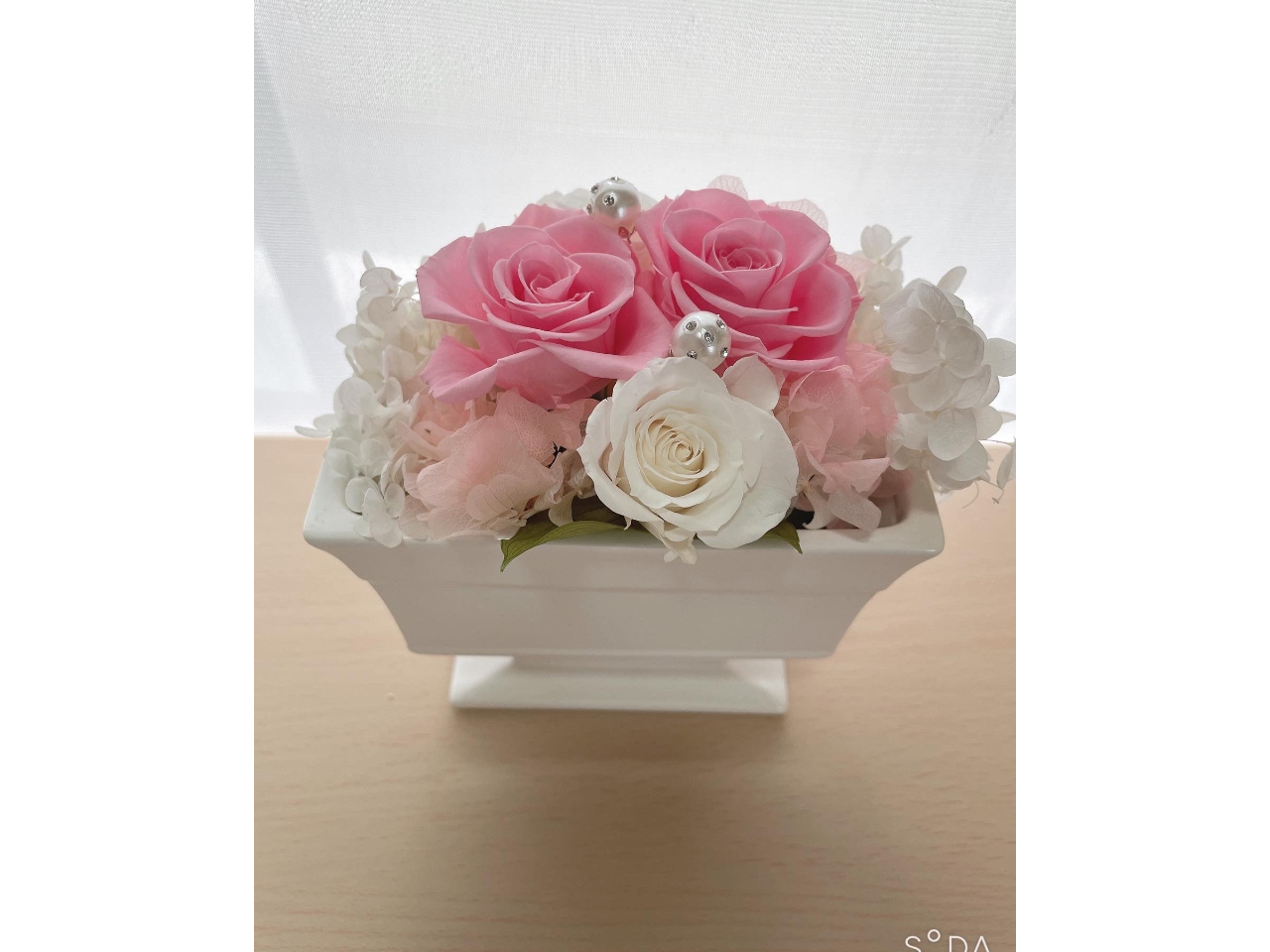 ̓C[Wʐ^ɂȂ܂B̌ōîʐ^͏ł捷ւv܂B