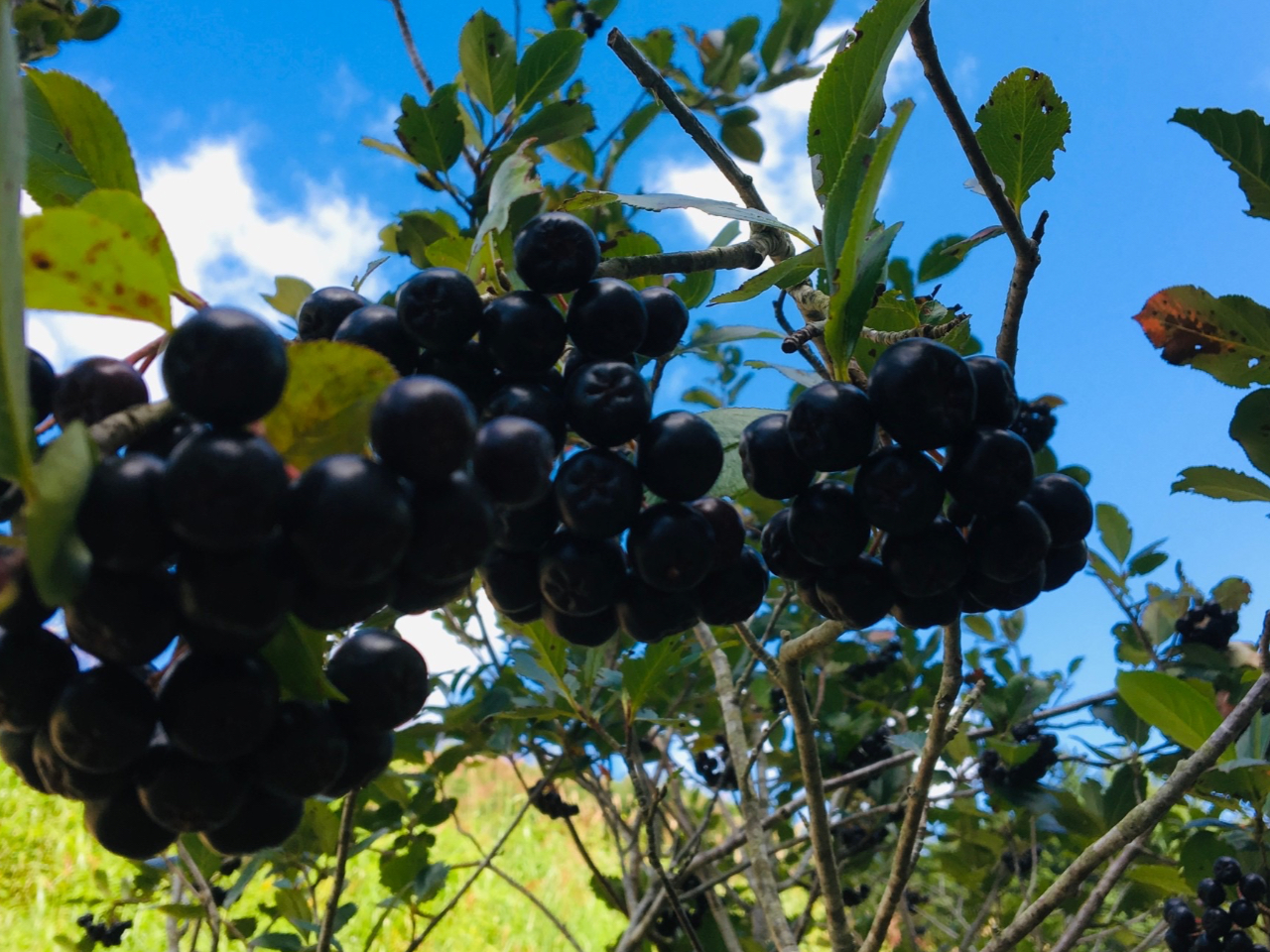 X[p[t[hAjA̐YʂɒBsꂪ{Ȃł