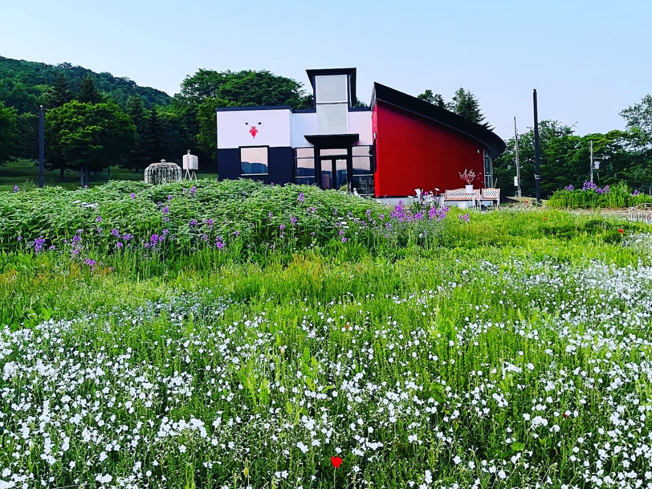 Ԃƍ̃RgXgȐԂ݂͂̋uł