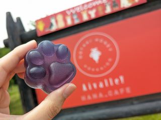 赤いはちみつ入りの石けん作り