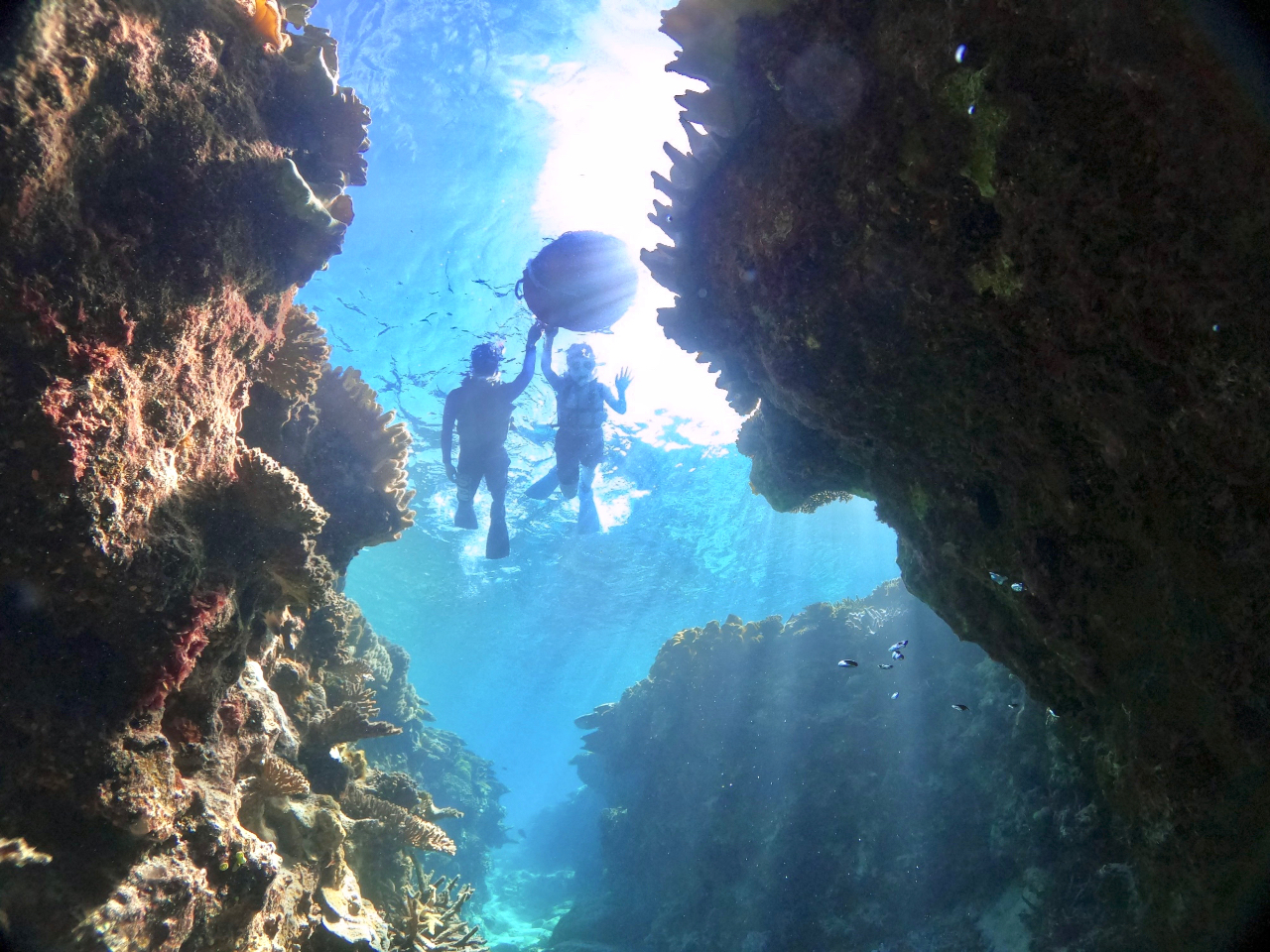サンゴ礁と太陽の光