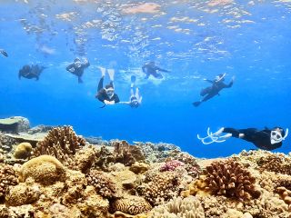 みんなでよーいどん!