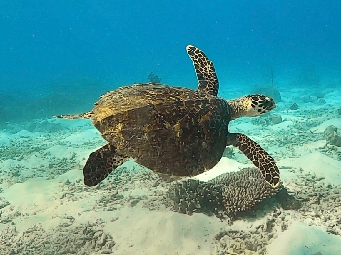 �E�~�K���̂���|�C���g���I�I