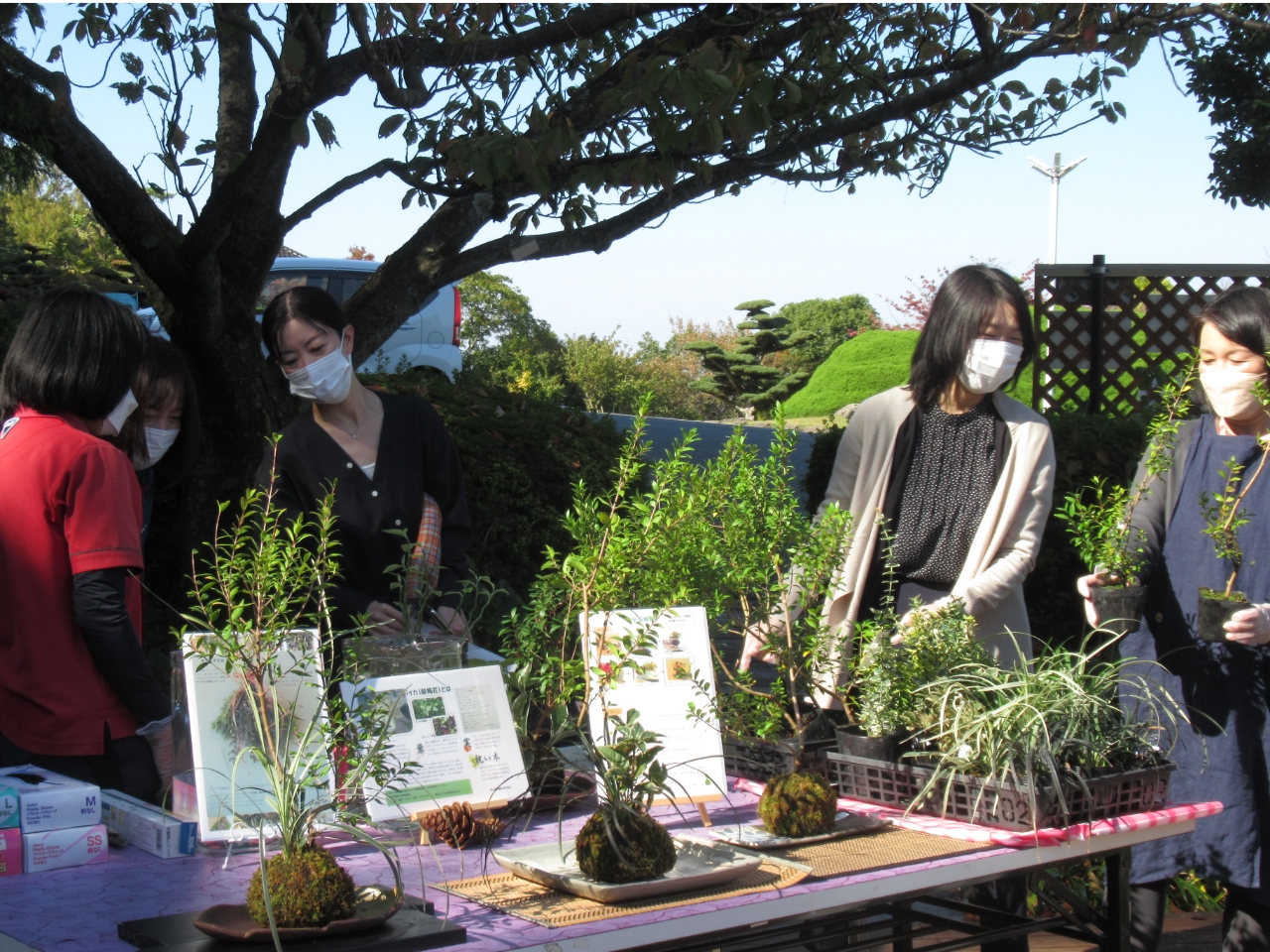 }[g̕cIłBD݂̕cTĂ݂܂傤B