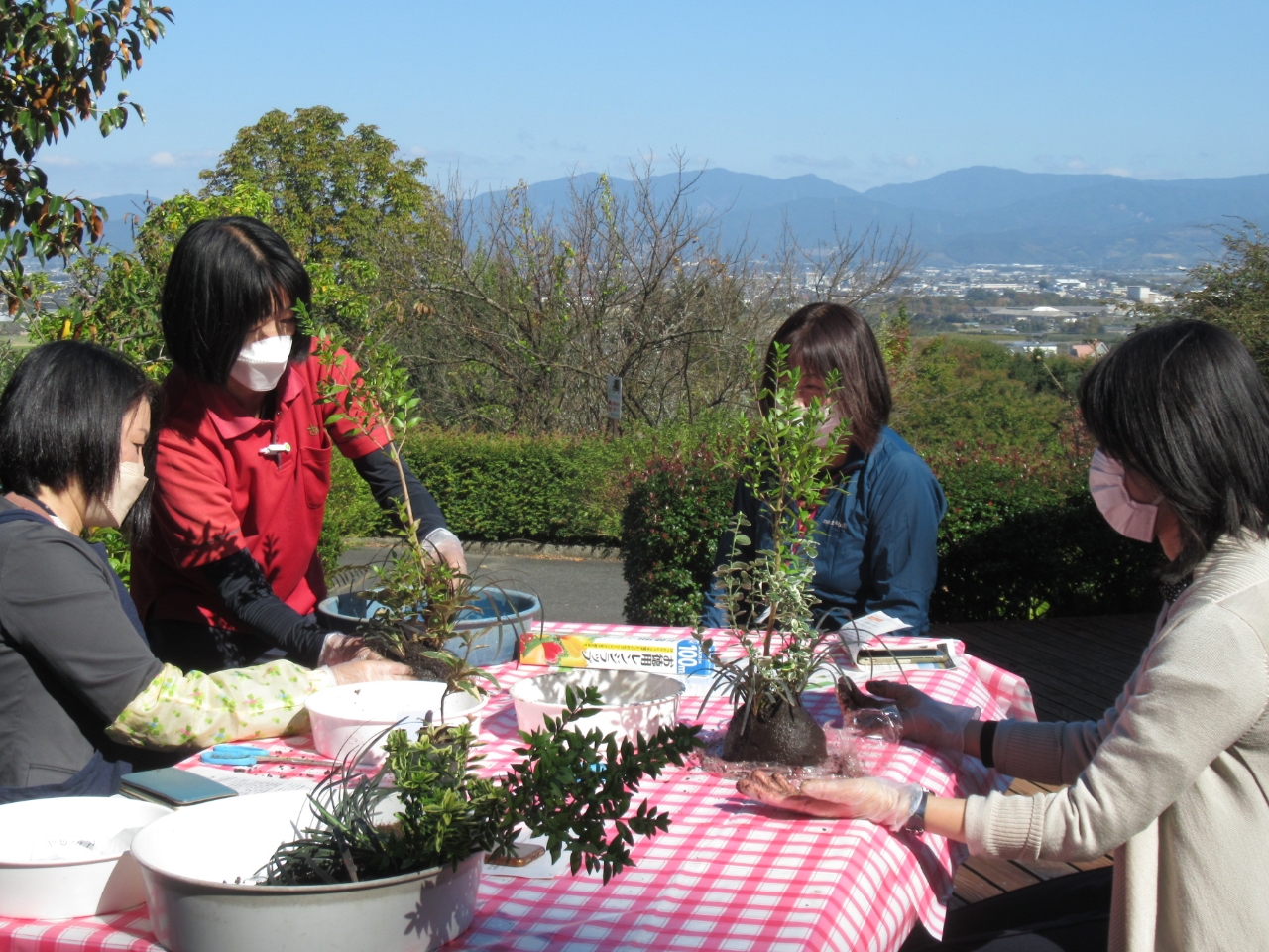 苗や土を手のひらで実感しましょう