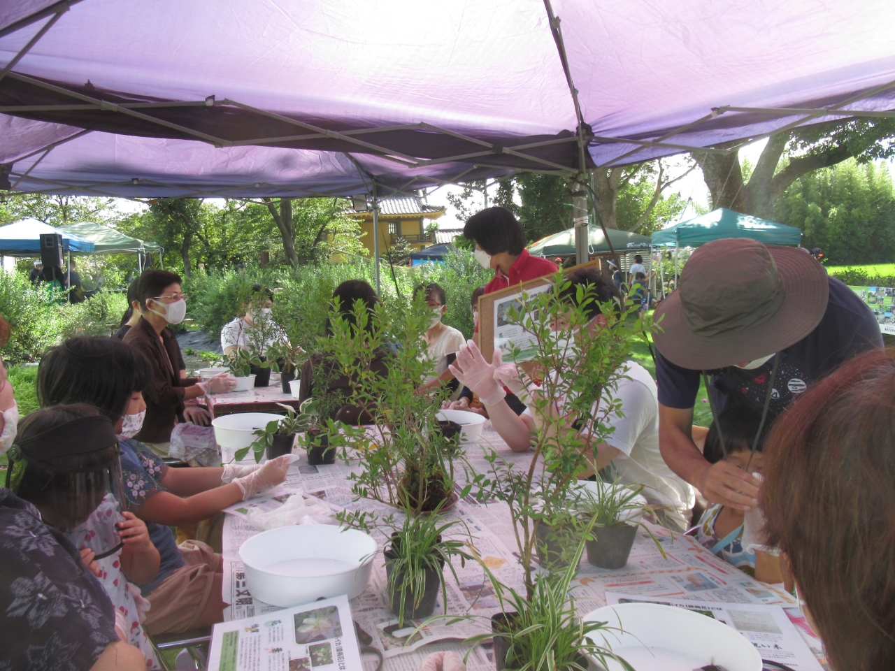 Ȃql`WB킢ۋʂoオBǗ̎dJɂ܂B