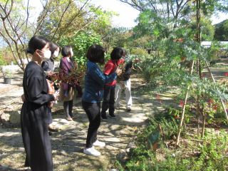 苑内の樹木や花木をスタッフが説明を行いながら、実際にスワッグに使用する枝を植木屋さんが使う剪定鋏でカットします