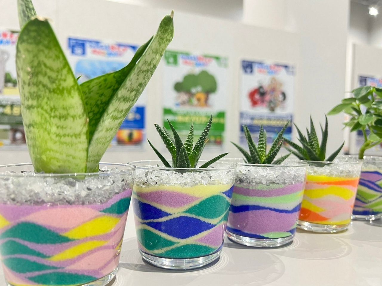 可愛い☆観葉植物のカラーサンドアートが作れるプラン♪