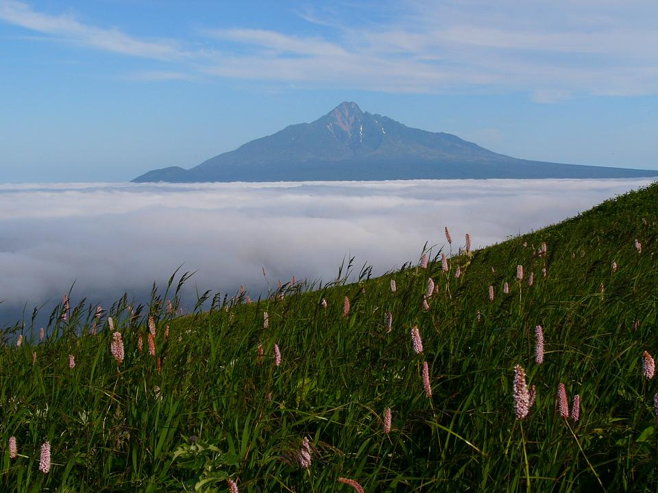 礼文島でトレッキング&お花畑散策を楽しもう!(2名以上で催行)