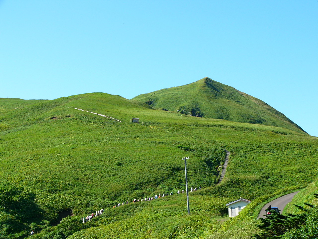 �p�m���}�R�[�X�@���̌`�́u����v