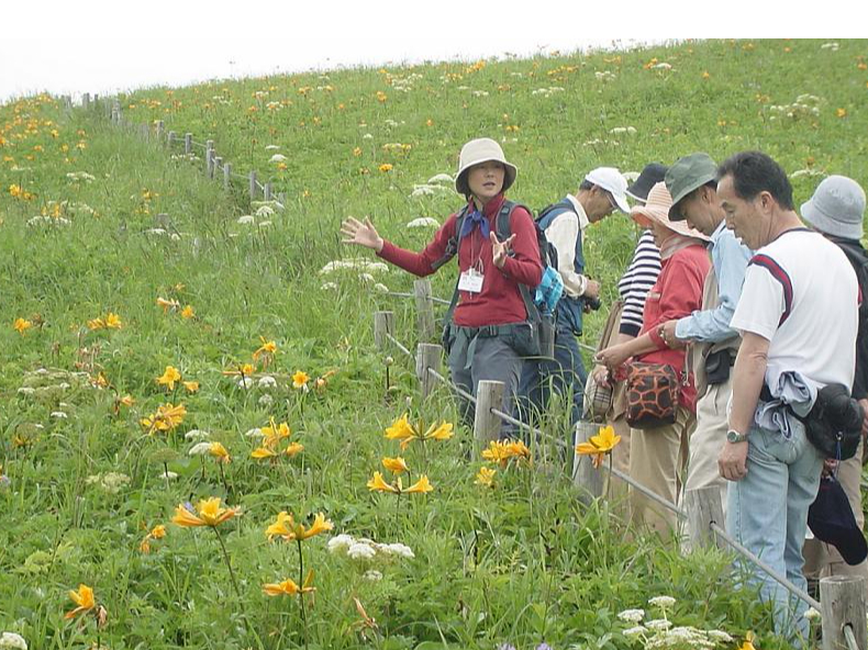 �t�����[���[�h�R�[�X